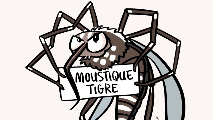 Information risques eau + Moustique "tigres"