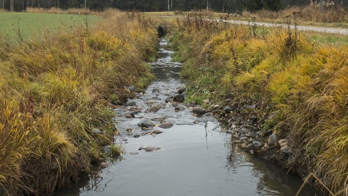 Guide "entretien des fossés et cours d'eau"